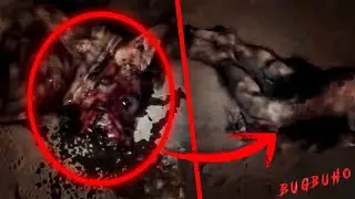 HALF-WOLF, HALF-HUMAN CREATURE Caught on Camera 2021 | EXTREME HORROR