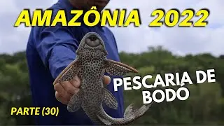 BACK TO MANGUEIRA COMMUNITY PART 30 AMAZON BODÓ FISHING