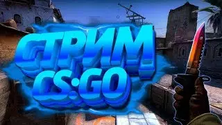 БУДНИ/СТРИМ/ПО CS:GO /ОЦЕНКА КАНАЛА ЗА ПОДПИСКУ