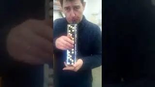 Королева красоты (импровизация) - Ержан Нургалиев и Михаил Тоцкий (аккордина)