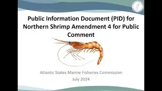 Northern Shrimp Amendment 4 PID Hearing Presentation July2024