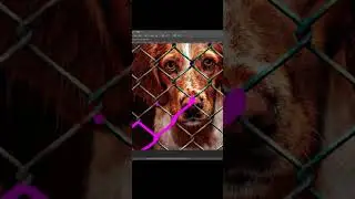 Cómo BORRAR OBJETOS en PHOTOSHOP 2021  ELIMINAR OBJETOS o PERSONAS SHORTS