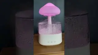 Rain Cloud Humidifier