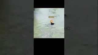 Mem 