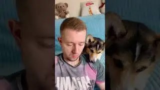 СМЕШНЫЕ ЖИВОТНЫЕ | УСТРОЙСТВО ДЛЯ НАПОЛНЕНИЯ ИГРУШЕК ПУХОМ | ПРОВЕРИЛ НА КОРГИ ЛУНЕ?
