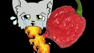 First time eating a Carolina Reaper