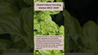 #shorts  Global Indoor Farming Market 2022 2028