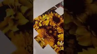 Estojo Box