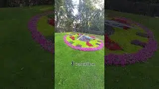 Я календарь переверну &&цветочные часы && Михаил Шафутинский #легенда