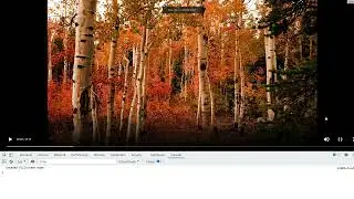 JavaScript HTML5 APIs 038 Programmatically Exiting Full Screen Mode