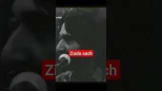 Ziada Sach #quoteoftheday #quotesaboutlife #shorts