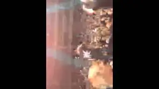 | Вася Вакуленко
