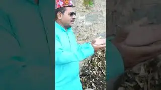 ho reetu