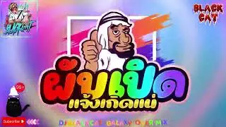 ผับเปิด แจ้งเกิดแน่ !! จังหวะตื๊ดๆ โคตรมันส์ 2024 🔥   ดีเจแบล็คแค๊ท