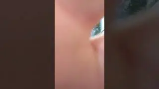 Духтари точик шарманда