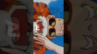 master roshi 