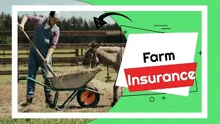 Farm Insurance for Farm Businesses | What You Need to Know