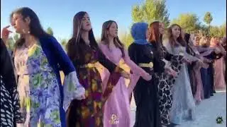 Kava Şirvan - Fatmoke - şexaniya Oremariya -
