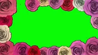 Pantalla verde/efecto chroma key para video star