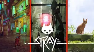 Кіт з Клементиною в в'язниці та останній акт котячої опери►Stray