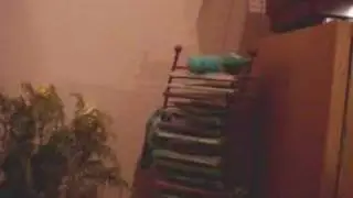 cute bird doing some cool tricks - mission plasticbird