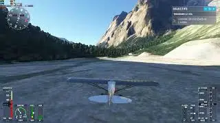 microsoft flight sim