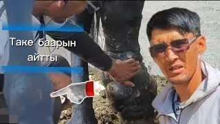 Таке эфирде баарын айтып берди