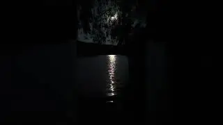 СУПЕР САУНДТРЕК НОЧЬ ЛУНА ОЗЕРО ЦИКАДЫ ЛЯГУШКИ НОЧНОЙ ОРКЕСТР ПРИРОДЫ
