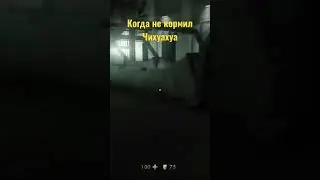 Чихуахуа в Wolfenstein: The Old Blood