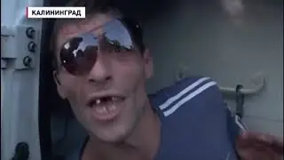 Самые смешные фразы в мире 2019