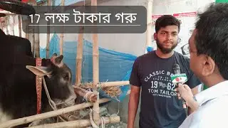 2024 সালের এই ঈদের  তেজগাঁও হাটে 17 লক্ষ টাকার গরু