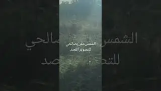 مطاردة الضبع، أنا بركض وهو بركض قدامي مش وراي 😬😬