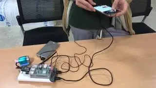 cat no sound