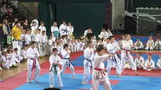 Demonstration performance — Taekwondo — Kyiv 05-2016 part#1