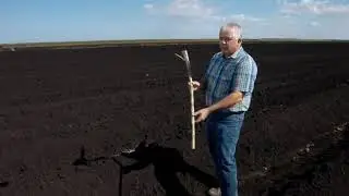 How Sugarcane is planted