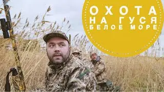 Белое море - охота на гуся осенью 2021. English CC available.