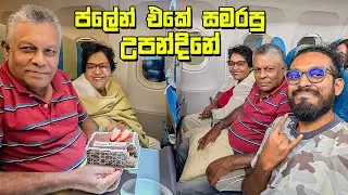 අහසෙදි සමරපු උපන්දිනේ - VLOG 379