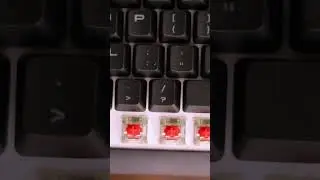 Cherry Mx Red Switches ❤️