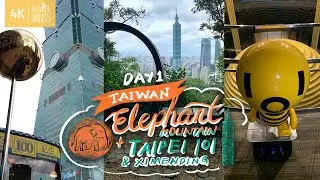 [Taiwan Vlog 6] Elephant Mountain + Taipei 101 + Ximending