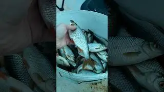 Первый день в раю!