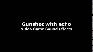Sound Effect - Gunshot with Echo