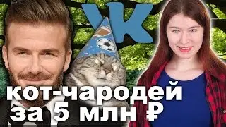 Кот-чародей ценой 5 млн ₽