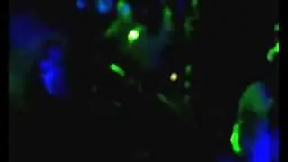 Projekt x