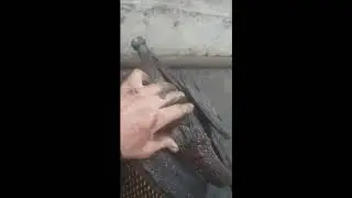 как поменять подшибники на малой ведущей шестерне бортовой редуктор чтз б 10м