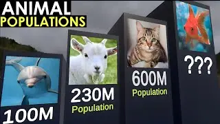 Comparison: Animal POPULATIONS