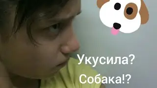Меня укусила собака?🐶🐶