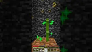 Minecraft that was close 😵... はいよろこんで 