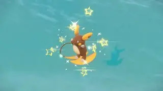 Shiny rat video