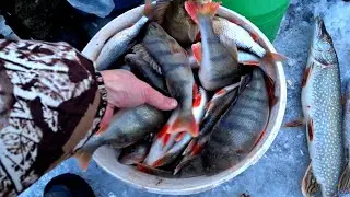First Ice Fishing! THERE'S A LOT OF FISH IN THIS HOLE! Winter Fishing 2022-23