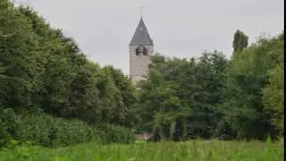 Elzenbos regen